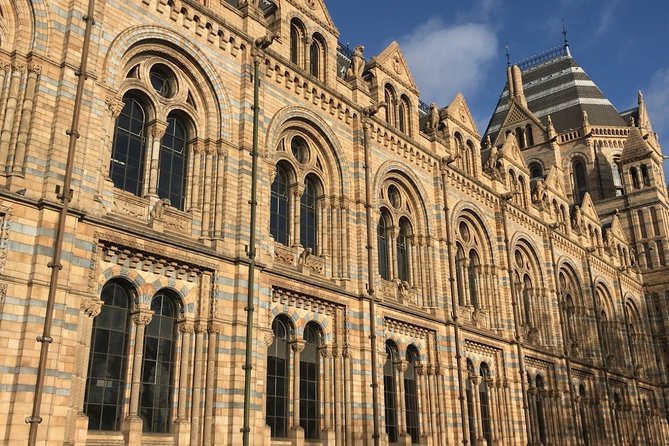 A Day at the Museum - Natural History Museum London - More than bones: what to expect across paleontology, jewels, and living things