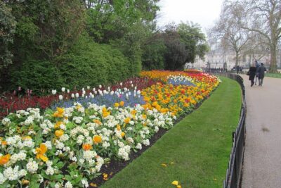 Best of London Private Day Tour - Trafalgar Square to The Mall: the walk you’ll actually enjoy