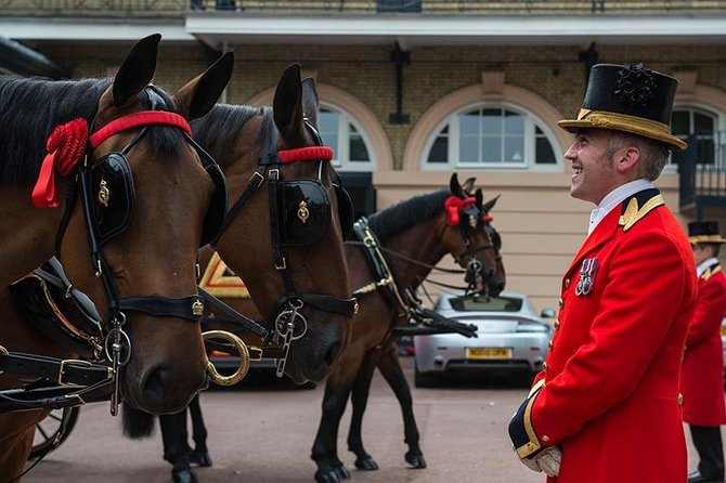 Buckingham Palace: Admission ticket to The Royal Mews - The horses: when you’ll see them, and when you might not