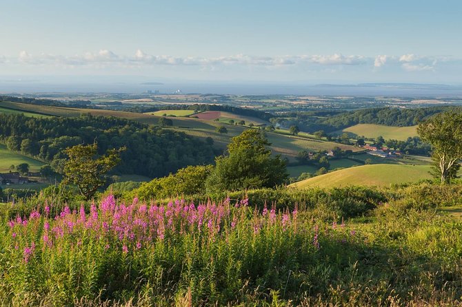 Canterbury & the White Cliffs of Dover Tour (Small-Group) - Deal, Kent: Seaside Break With More Than Just a Nice Waterfront