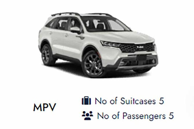 Central London to Southampton Cruise Port Private transfers - Drop-off at the Cruise Port: What to Watch for at Arrival