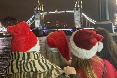 Christmas Lights and Markets London Taxi Tour - The private setup: pickup, mobile ticket, and how it feels