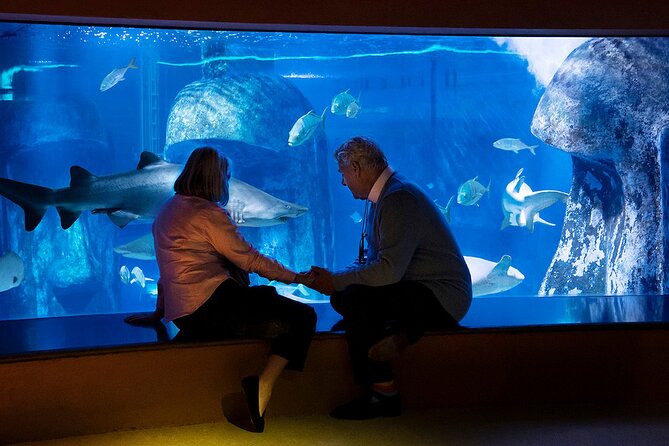 Combo Ticket: Madame Tussauds & SEA LIFE London Aquarium - Madame Tussauds + SEA LIFE: how the 3-hour combo really plays