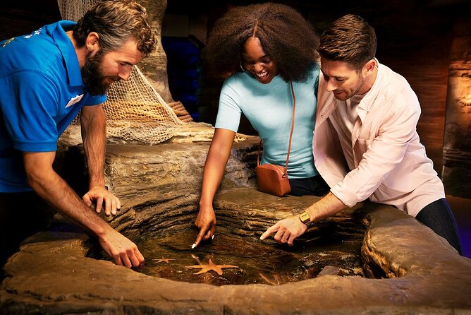 Combo Ticket: Madame Tussauds & SEA LIFE London Aquarium - Moving on to SEA LIFE London Aquarium in a single hour