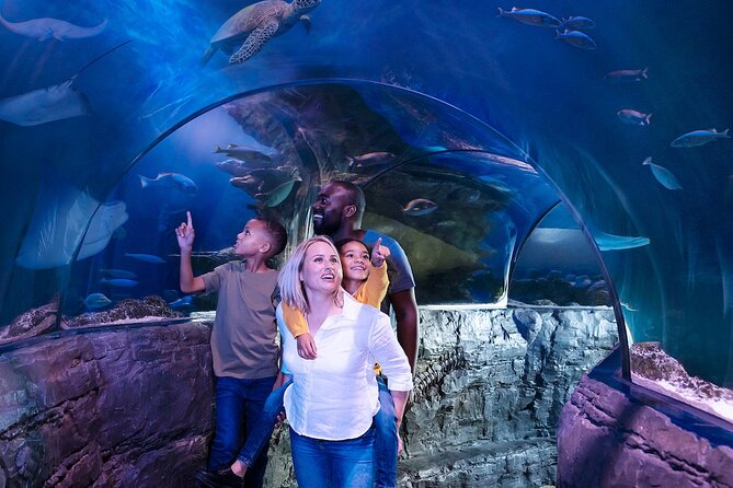 Combo Ticket: Madame Tussauds & SEA LIFE London Aquarium - Getting your day right: timing, pacing, and transit