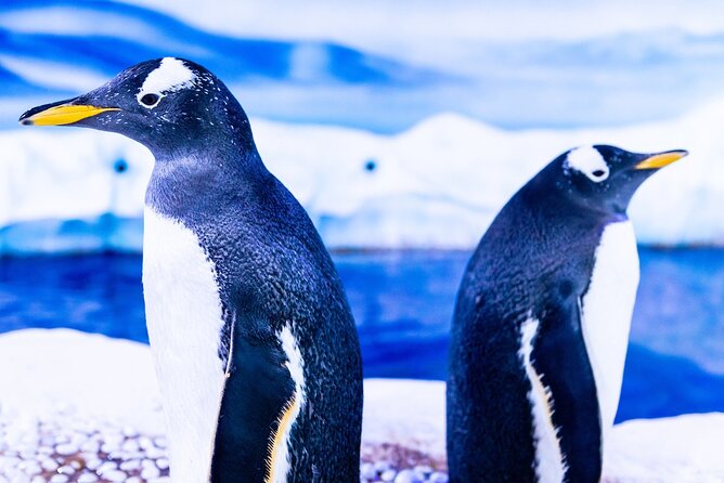 Combo Ticket: Madame Tussauds & SEA LIFE London Aquarium - Madame Tussauds London: 150+ figures across three floors