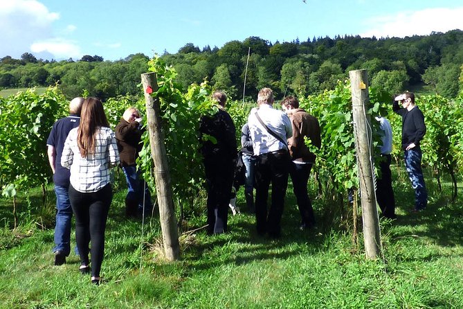 English Wine and Cheese Tour from London - Chapel Down picnic lunch: a break that still stays in-theme