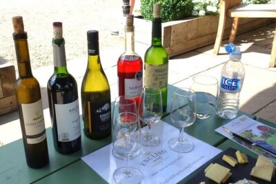 English Wine and Cheese Tour from London - Wayfarer Wines: a small-producer start to your tasting day