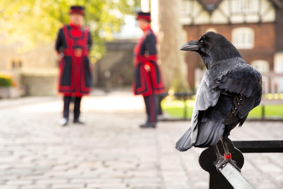 Exclusive Beefeater Meet & Greet at the Tower of London - A Few Smart Ways to Make This Better