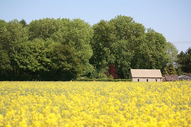 Explore the Cotswolds (Private Day Tour from London) - Hotel pickup makes the Cotswolds feel effortless