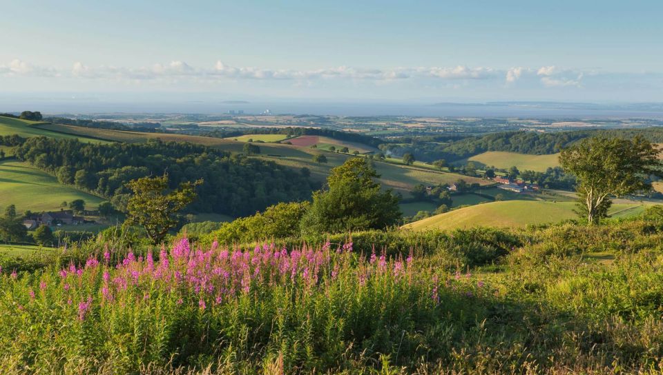 From London: Canterbury & White Cliffs of Dover Tour - Ride comfort matters on a 9.5-hour loop