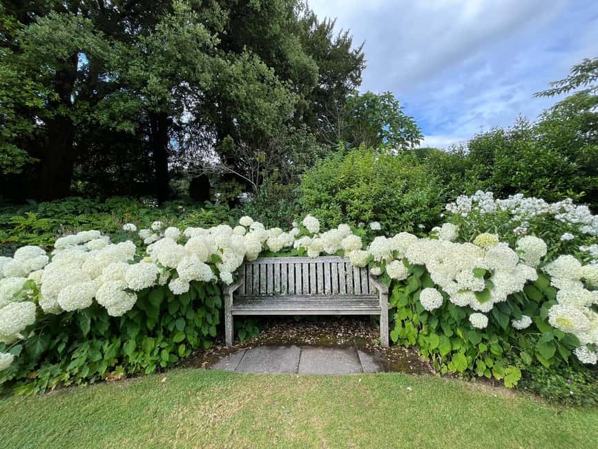 From London: Day Trip to Downton Abbey, Oxford and Bampton - FAQ