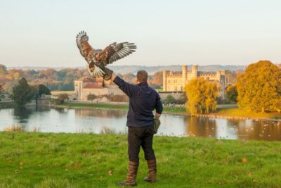 From London: Leeds Castle, Canterbury, Dover and Greenwich - Dover’s White Cliffs: big views, limited exploring