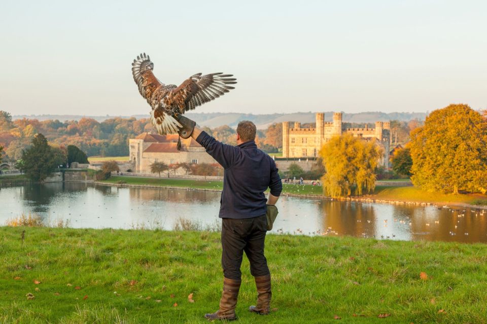 From London: Leeds Castle, Canterbury, Dover and Greenwich - Dover’s White Cliffs: big views, limited exploring