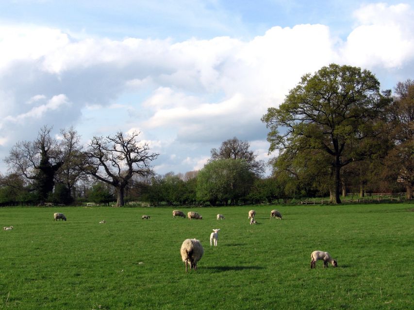 From London: Oxford, Stratford-upon-Avon & Cotswolds Trip - Guides and pacing: what the day feels like in practice
