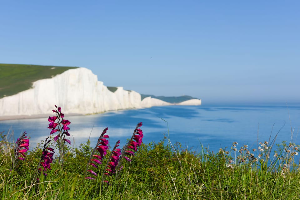 From London: Seven Sisters and Brighton Full-Day Tour - Seaford Head viewpoints and the walk with film-location stories