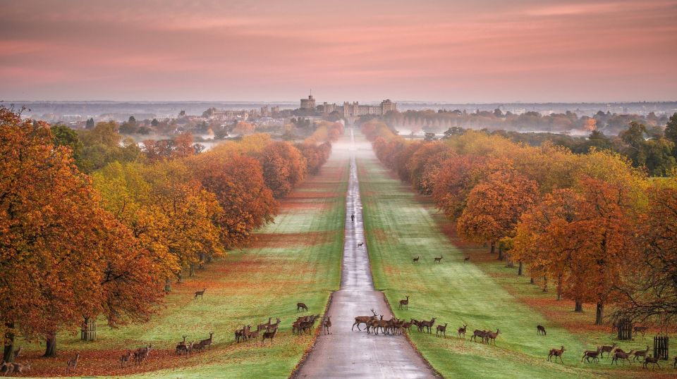 From London: Stonehenge, Windsor and Salisbury Guided Tour - The Guides: The Difference Between Rushed and Memorable