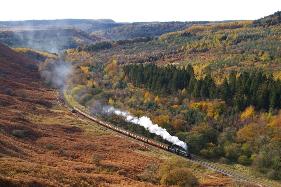 From London: The North York Moors with Steam Train to Whitby - The North York Moors by Mini-Bus: Abbey Ruins and Moorland Terrain