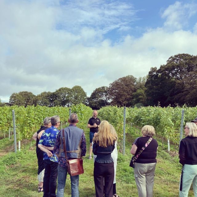 From London: Vintage Bus Wine Tour with Return Train Tickets - Who this Sussex wine day is best for