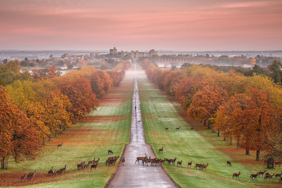 From London: Windsor Castle Afternoon Sightseeing Tour - Small logistics that can make or break your day
