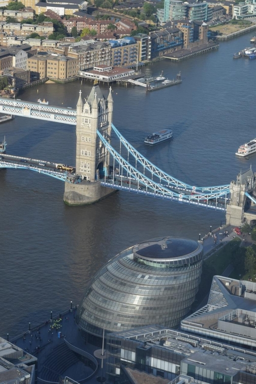 Full Day London Tour in a Private Vehicle with Admission - Key things to know before you go