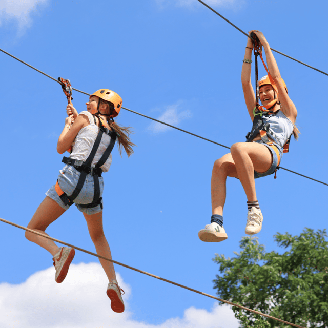 Gripped London: Zip Line, High Ropes & Freefall Adventure - Key things to know before you go