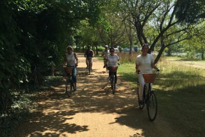 Hampton Court Palace Grounds Bike Tour - Meeting at Hampton Court: bikes, helmets, and the confident-rider requirement