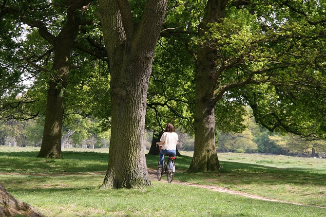 Hampton Court Palace Grounds Bike Tour - The River Thames approach: where the scenery shifts