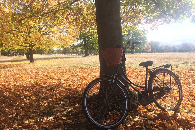 Hampton Court Palace Grounds Bike Tour - Price and value: $55.12 for bike + guide + helmet