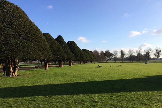 Hampton court palace private tour from London - The grounds you should not skip: maze, Thames views, and big garden time
