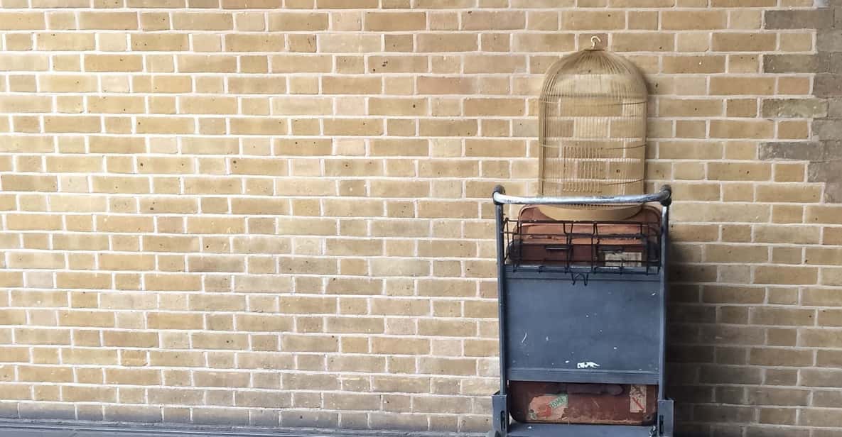 Harry Potter Private Tour of London in Spanish - Key moments you’ll care about