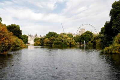 Highlights of Royal London Bike Tour (3 Hours) - How the Route Keeps You Comfortable (Bike Lanes and Parks)