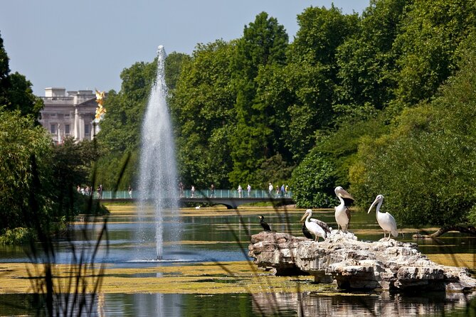 Inside Buckingham Palace State Rooms & Royal London Walking Tour - Buckingham Palace State Rooms: What You’ll See and How to Enjoy It