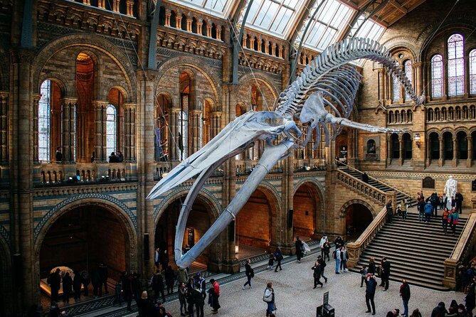 Kid-Friendly Natural History Museum & Dinosaurs Private Guided Tour in London - Key highlights you’ll feel right away
