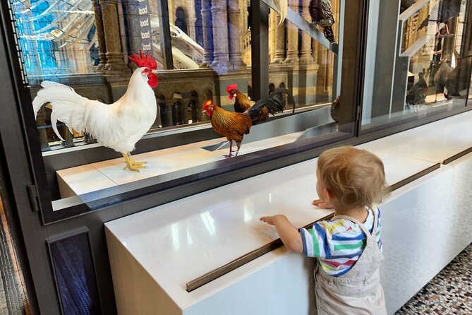 Kid-Friendly Natural History Museum & Dinosaurs Private Guided Tour in London - Dinosaur Gallery: meeting T. rex and learning without the hard sell