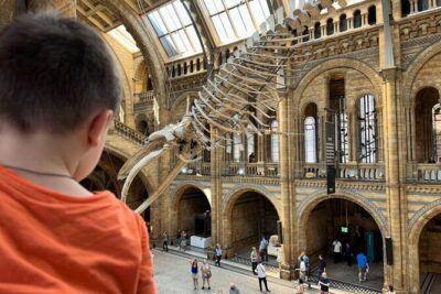 Kid-Friendly Natural History Museum & Dinosaurs Private Guided Tour in London - A private kid-friendly guide is the whole point here