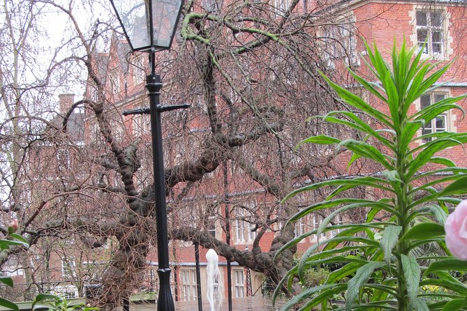 Law in London Private Tour - The British Law Society pause: a break that teaches, not just rests