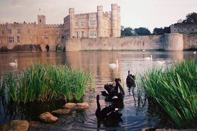 Leeds Castle, Canterbury and White Cliffs of Dover - Driver Guide - Price and admissions: where the real costs land