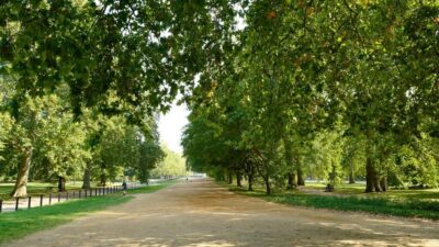 London: 24-Hour Hop-On Hop-Off Bus Pass - Getting On at Marble Arch or Piccadilly: Fast Boarding With the App