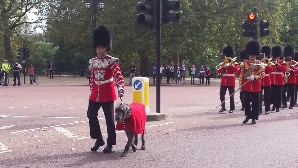 London: Changing of the Guard Walking Tour - Practical Tips That Actually Matter on the Day