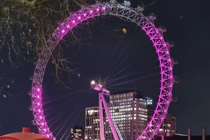 London Christmas Lights Private Guided Taxi Tour - How This Black Cab Lights Tour Actually Works in Real Life