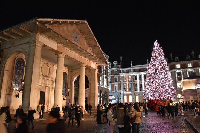 London Christmas Lights Private Walking Tour - Regent Street lights: fashion street glow with a photo cue