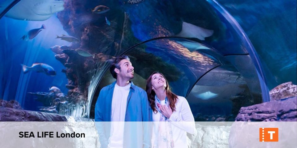 London City pass: Top attractions, Hop on Hop off & tours - Your Digital Pass: Entry Without a Paper Ticket Headache