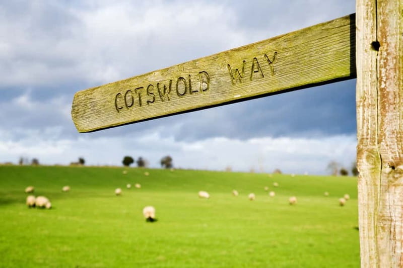 London: Cream Tea at Blenheim Palace & the Cotswolds Tour - Getting there on a coach: comfort, Wi‑Fi reality, and restroom reality