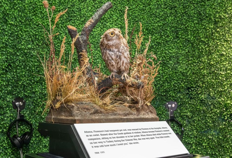 London: Florence Nightingale Museum Ticket - Athena the pet owl: a small detail that makes the story stick