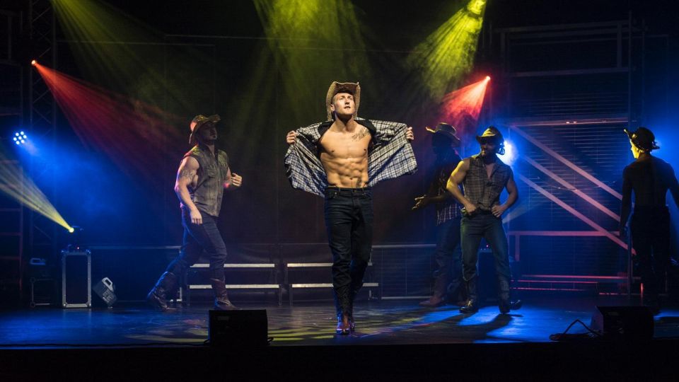 London: Forbidden Nights Male Strip Show and After-Party - Who should book this night out, and who might not love it