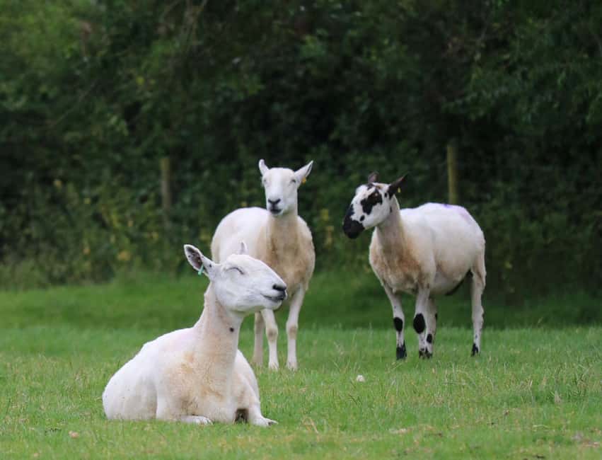 London: Full Day Cotswolds Tour with Shakespeare's Stratford - Snowshill: where the day turns quieter