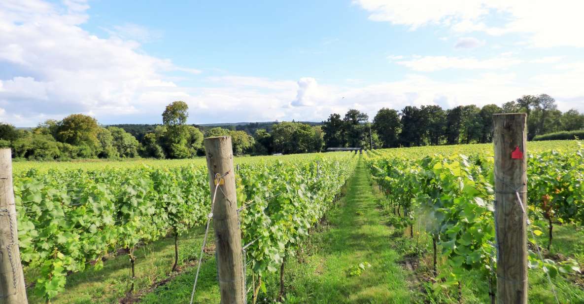 London: Full-Day English Wine Tour with Lunch - Meeting near London Bridge and the 9 AM start