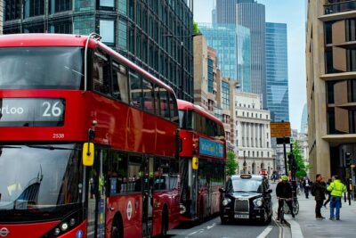 London Fully Tailored Private Tour: Half-Day with Local Guide - Westminster Abbey: royal ceremonies in a 30-minute hit