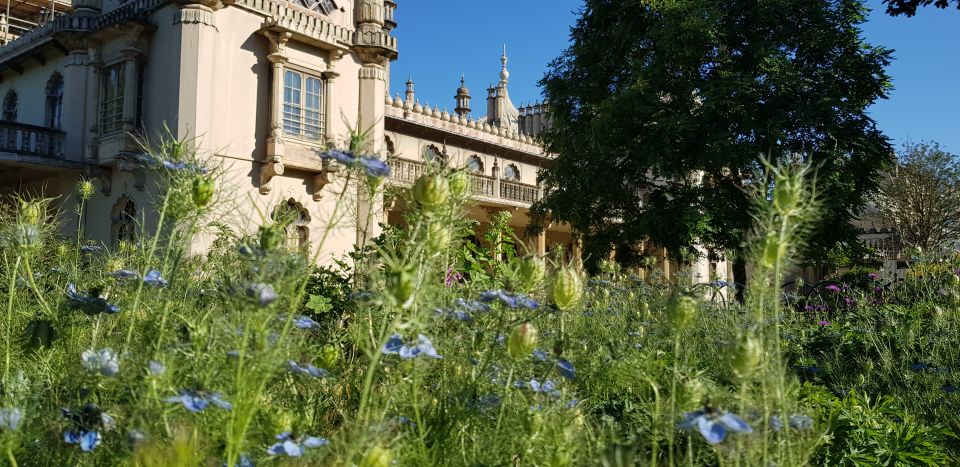 London: Guided Day Trip to Brighton and Seven Sisters - Key Highlights Worth Your Time